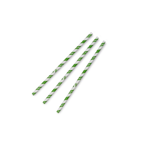 Paper Smoothie Straws (100)